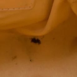 Versace Gold Snakeskin Framed Bauletto For Women -Versace Official Website luxury women versace used handbags p36391 006