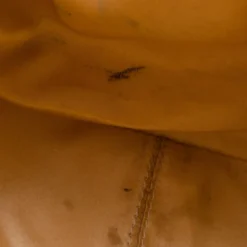 Versace Gold Snakeskin Framed Bauletto For Women -Versace Official Website luxury women versace used handbags p36391 007